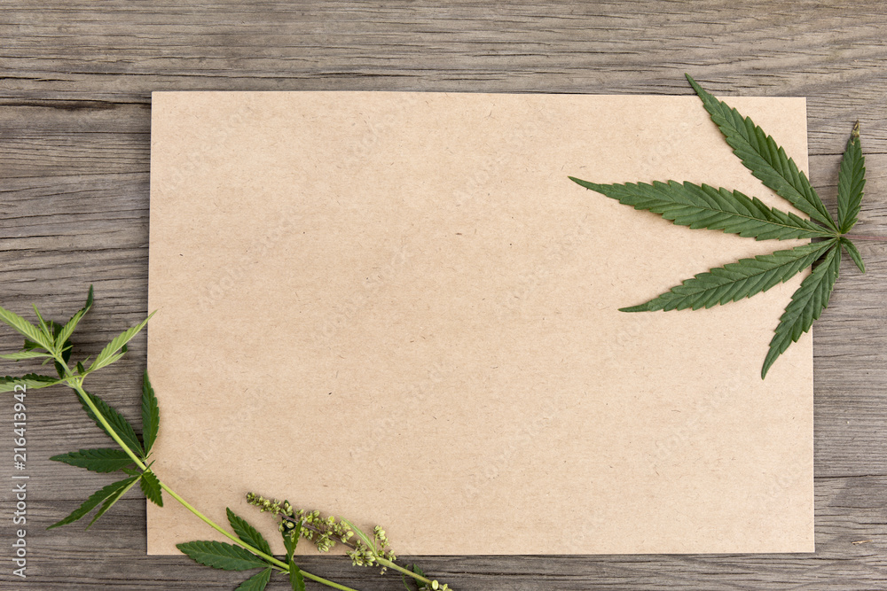 hemp paper hemp paper